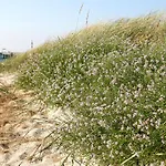 Ostseehotel