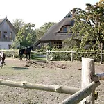 Ostseehotel * Wustrow (Fischland)