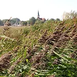 Ostseehotel Hotell Wustrow (Fischland)