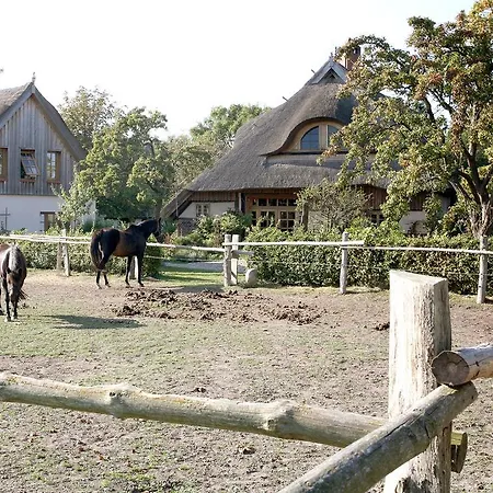 Ostseehotel * Wustrow (Fischland)